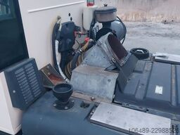 SCHMIDT SWINGO 150+ - 200+