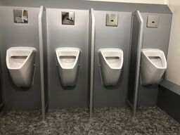 Rosemeier VE 4 Damen, 1 Herren, 4 Urinale Toilettenanhänger