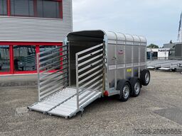 Ifor Williams TA5G10 mit Kombiklappe