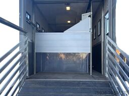 Scania P250 Horse Truck