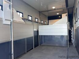 Scania P250 Horse Truck