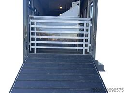 Scania P250 Horse Truck