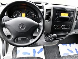 MERCEDES-BENZ Sprinter 316CDI Kühlkasten Tief-Kühler Standkühl