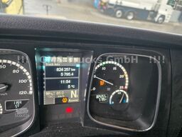 MERCEDES-BENZ Actros 1848 / Retarder / Park Cool / German
