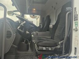 Mercedes-Benz Atego 1223 L Plane + Spriegel L+R LBW nur 114TKM