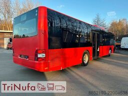 MAN A20 | Retarder | 44 Sitze |
