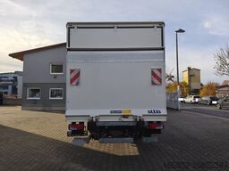 MAN TGL 8.190 Koffer gFH AHK LBW Euro 6 4x2 (11) TÜ...