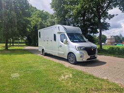 Transporte de caballos Renault Master Theault S5L paardenwagen Pro-Safety heng...