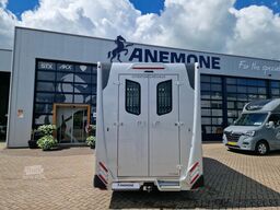 Renault Master Theault S5L paardenwagen Pro-Safety heng...