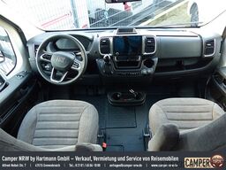 LAIKA Kosmo L 319 Mod. 2025, Dachklima, Komfort-P,Mult