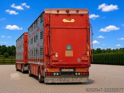 DAF XF 530 Super Space + Pezzaioli Livestock Trailer | Cattle Pigs