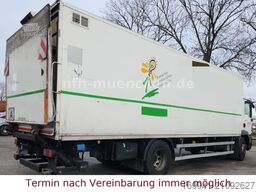 MAN TGM / 15.250  Fg TOP ZUSTAND