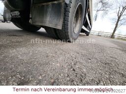 MAN TGM / 15.250  Fg TOP ZUSTAND