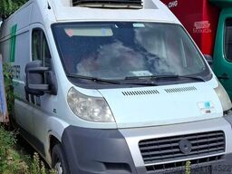 FIAT Ducato Grossr.-Kasten 33 120  L4  Carrier