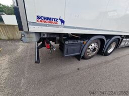 MAN TGX 26.510