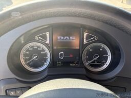 DAF XF 480 SSC, AUTOMATIK,  EURO6,