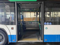 Solaris Urbino