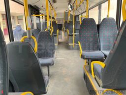Solaris Urbino