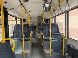 Solaris Urbino
