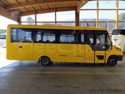 Iveco Indcar Wing