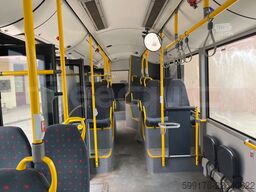 Solaris Urbino