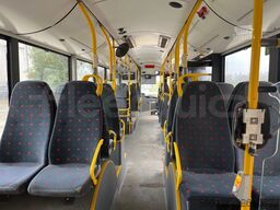 Solaris Urbino