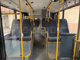 Solaris Urbino