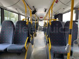 Solaris Urbino