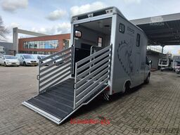 Mercedes-Benz Sprinter 515 CDI Böckmann Horsetruck 24.500 KM ...