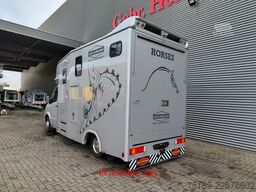 Mercedes-Benz Sprinter 515 CDI Böckmann Horsetruck 24.500 KM ...