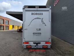 Mercedes-Benz Sprinter 515 CDI Böckmann Horsetruck 24.500 KM ...