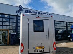 Ford Transit 3.139km!Paardenwagen hengsten uitvoerin...