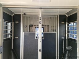 Ford Transit 3.139km!Paardenwagen hengsten uitvoerin...