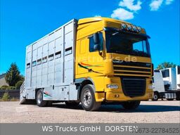 DAF XF 410 SC Menke Doppelstock
