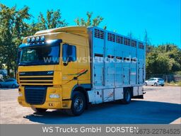 DAF XF 410 SC Menke Doppelstock