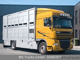 DAF XF 410 SC Menke Doppelstock