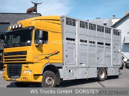 DAF XF 410 SC Menke Doppelstock