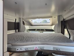 BENIMAR BENIMAR T 481 TESSORO Special Edition
