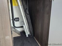 BENIMAR BENIMAR T 481 TESSORO Special Edition