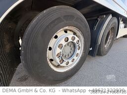 MERCEDES-BENZ Antos 2540*E6d*Frigoblock*LBW*Lift*2Verdampfer