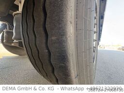 Wüllhorst TFSE24 TRI*Carrier*LBW*Lenk+Lift*LANG*