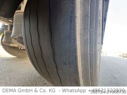 Wüllhorst TFSE24 TRI*Carrier*LBW*Lenk+Lift*LANG*