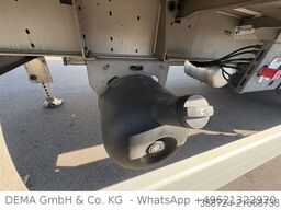 Wüllhorst TFSE24 TRI*Carrier*LBW*Lenk+Lift*LANG*