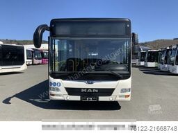 MAN A 23 Lions City G / O 530 G Citaro