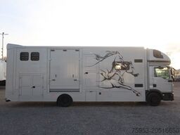 MAN TGL 12.250 BL 4x2 für 5 Pferde Aufbau Bj.: 2022