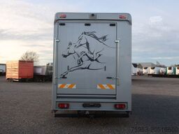 MAN TGL 12.250 BL 4x2 für 5 Pferde Aufbau Bj.: 2022