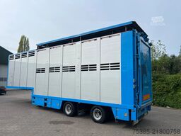 Berdex Livestock 1/2 stock