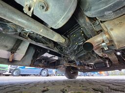 MAN TGL 12.240 4X2 BL / Pferde