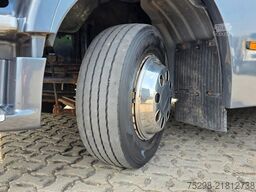 MAN TGL 12.240 4X2 BL / Pferde