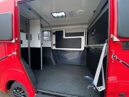 RENAULT MASTER AKX NEW MODELL  2025 5 Sitzer Haras ex. L